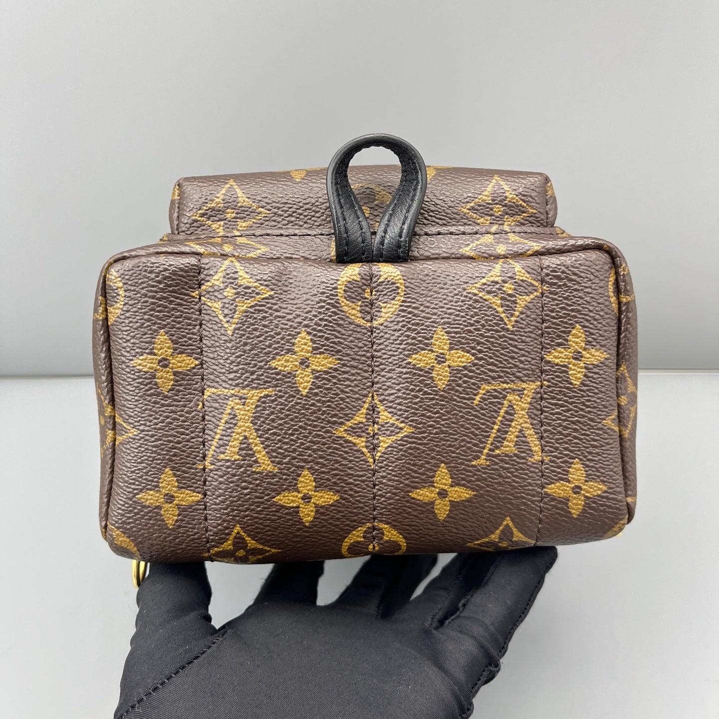 Louis Vuitton - Palm Springs Mini Backpack - Leather - Brown - (mini)