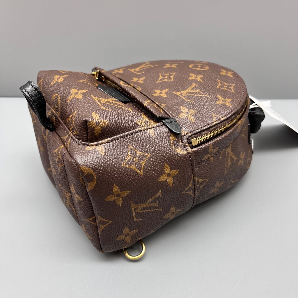Louis Vuitton - Palm Springs Mini Backpack - Leather - Brown - (mini)