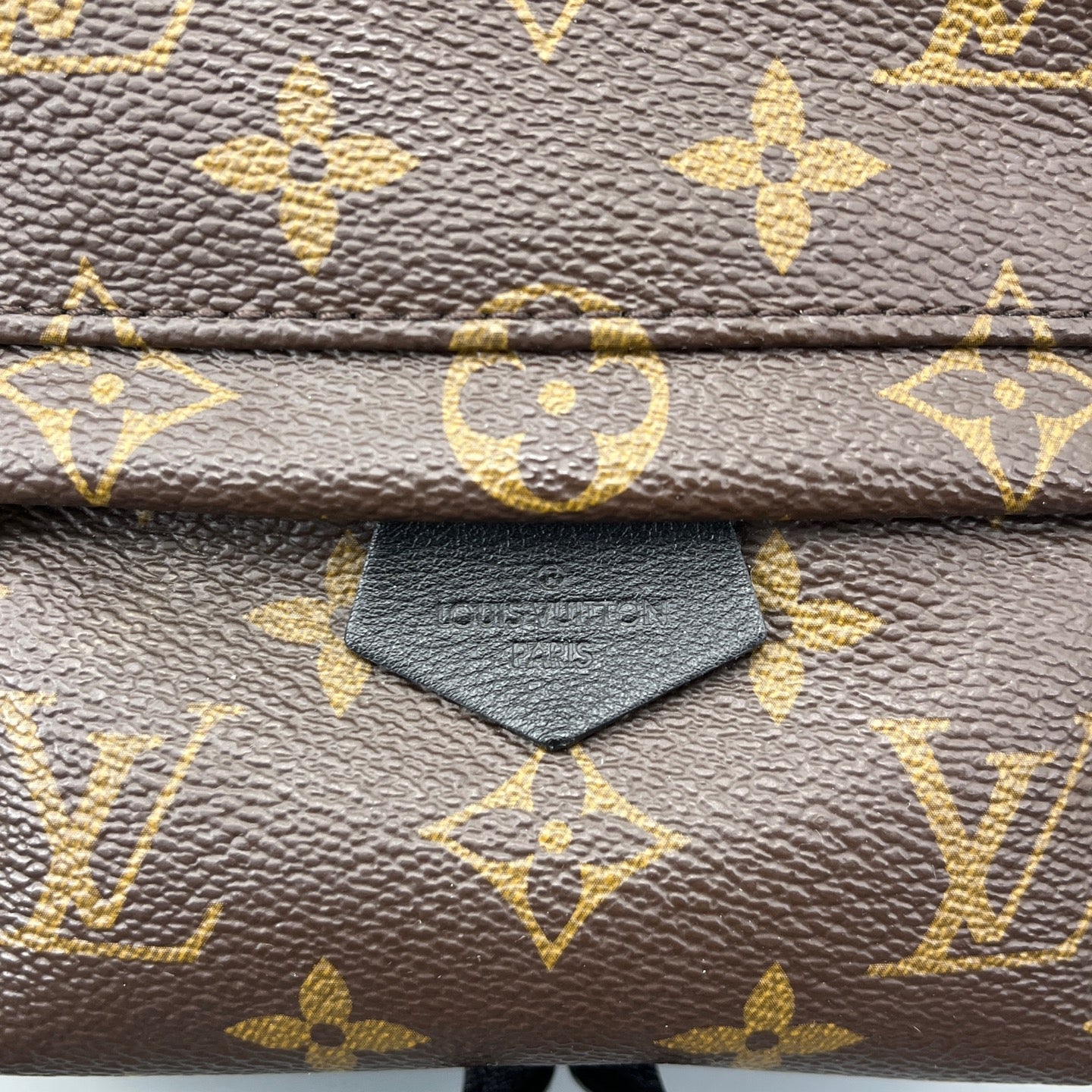 Louis Vuitton - Palm Springs Mini Backpack - Leather - Brown - (mini)