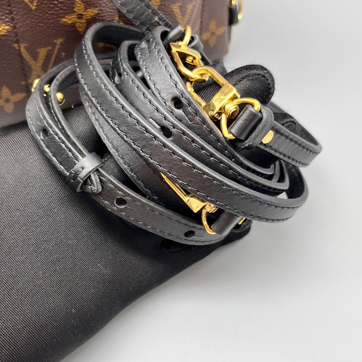 Louis Vuitton - Palm Springs Mini Backpack - Leather - Brown - (mini)