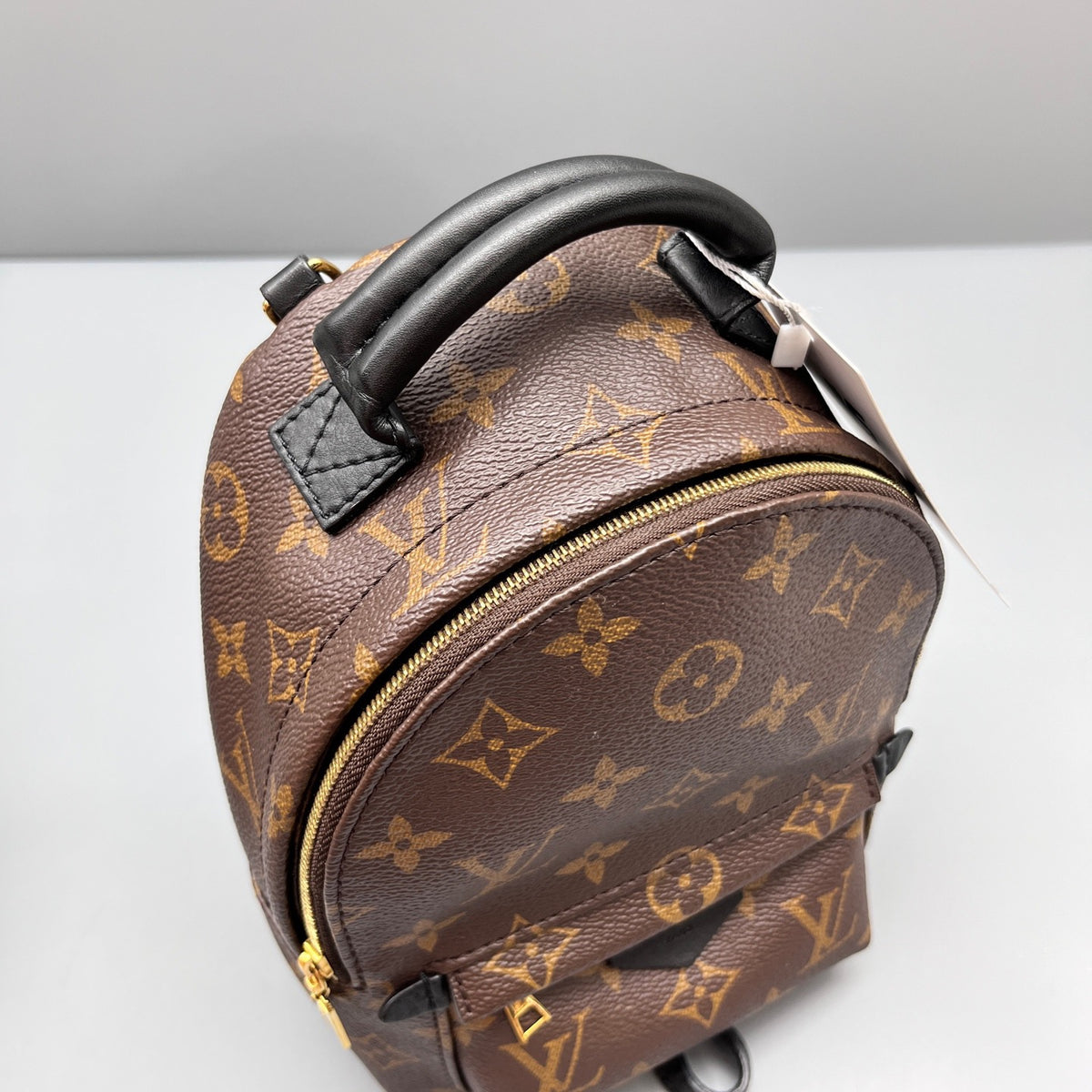 Louis Vuitton - Palm Springs Mini Backpack - Leather - Brown - (mini)
