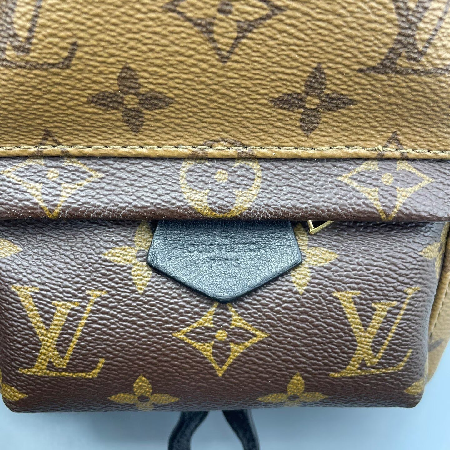 Louis Vuitton - Palm Springs Mini Backpack - Monogram coated canvas with leather trim - Multicolour - (mini)