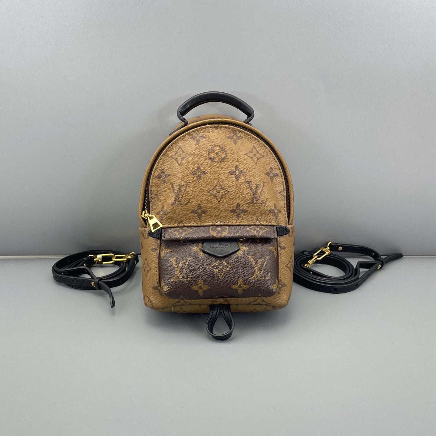 Louis Vuitton - Palm Springs Mini Backpack - Monogram coated canvas with leather trim - Multicolour - (mini)