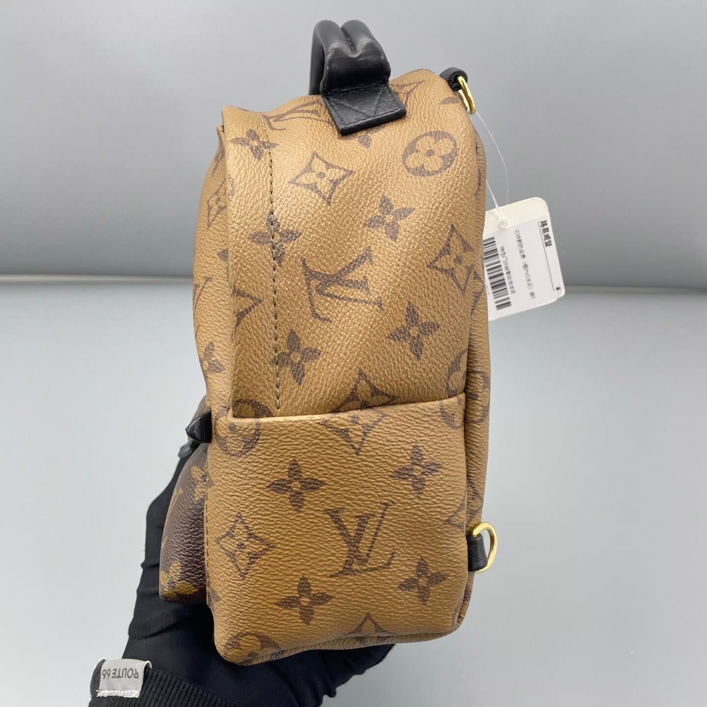 Louis Vuitton - Palm Springs Mini Backpack - Monogram coated canvas with leather trim - Multicolour - (mini)