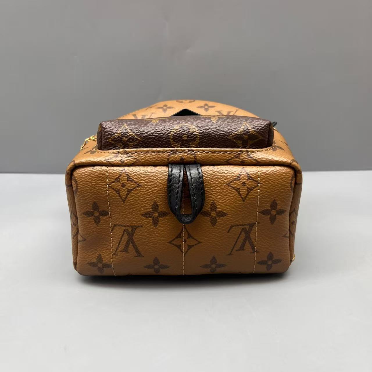 Louis Vuitton - Palm Springs Mini Backpack - Monogram coated canvas with leather trim - Brown with black trim - (mini)