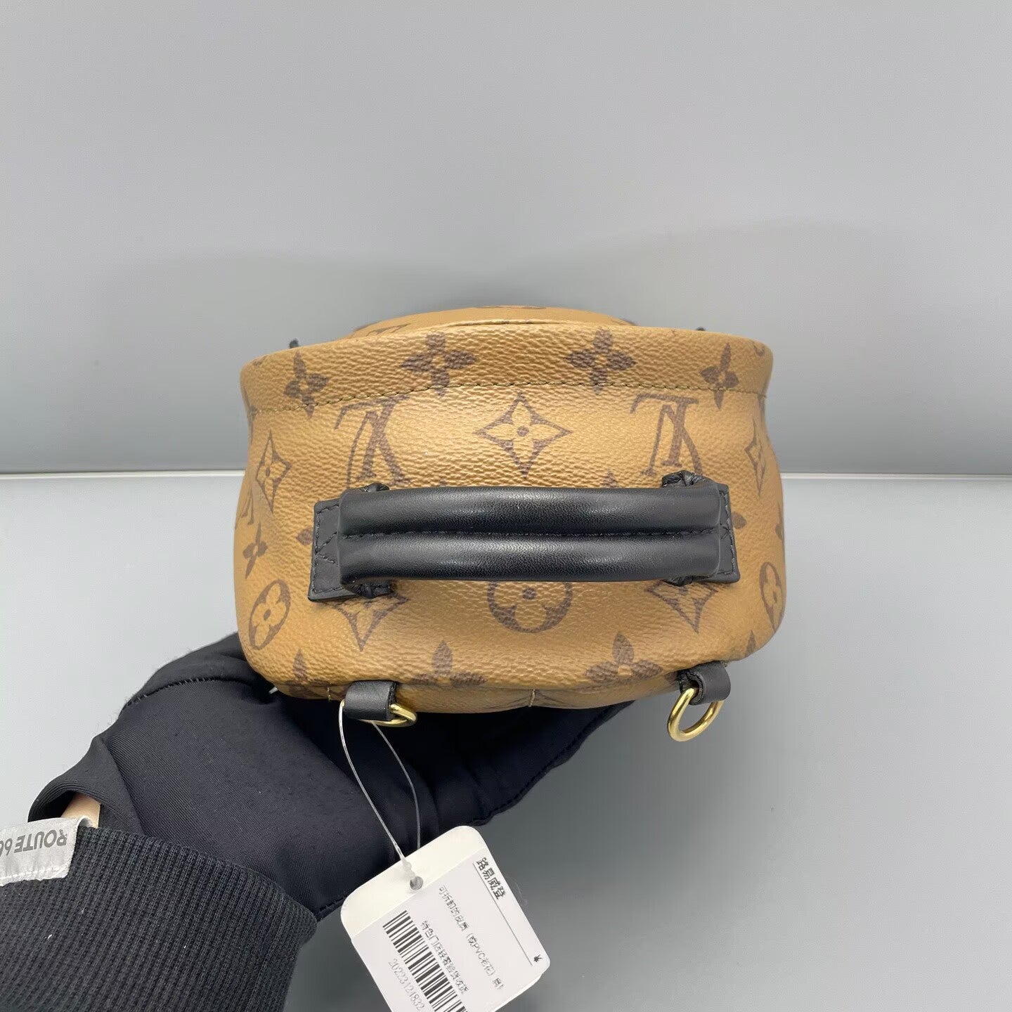 Louis Vuitton - Palm Springs Mini Backpack - Monogram coated canvas with leather trim - Multicolour - (mini)