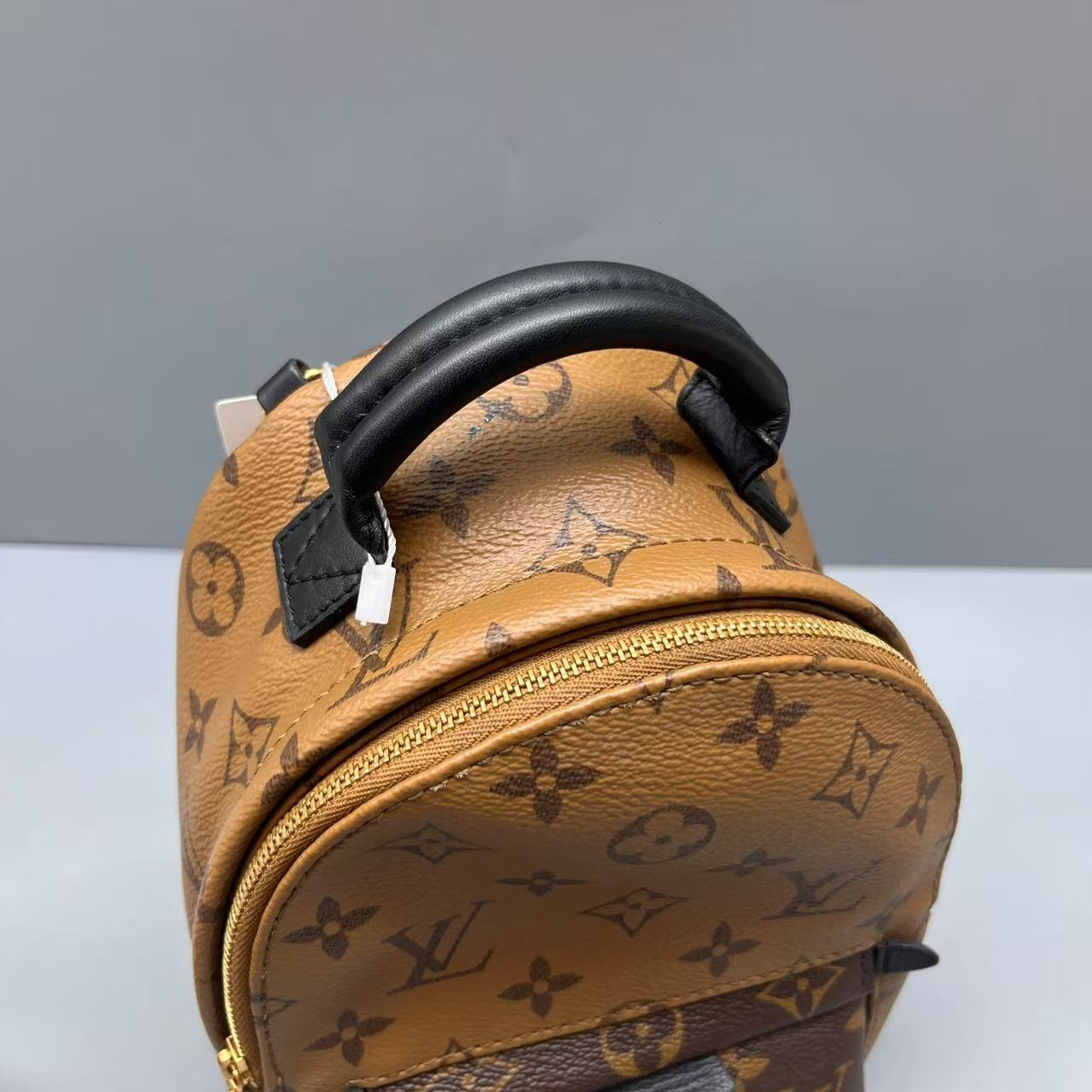Louis Vuitton - Palm Springs Mini Backpack - Monogram coated canvas with leather trim - Brown with black trim - (mini)