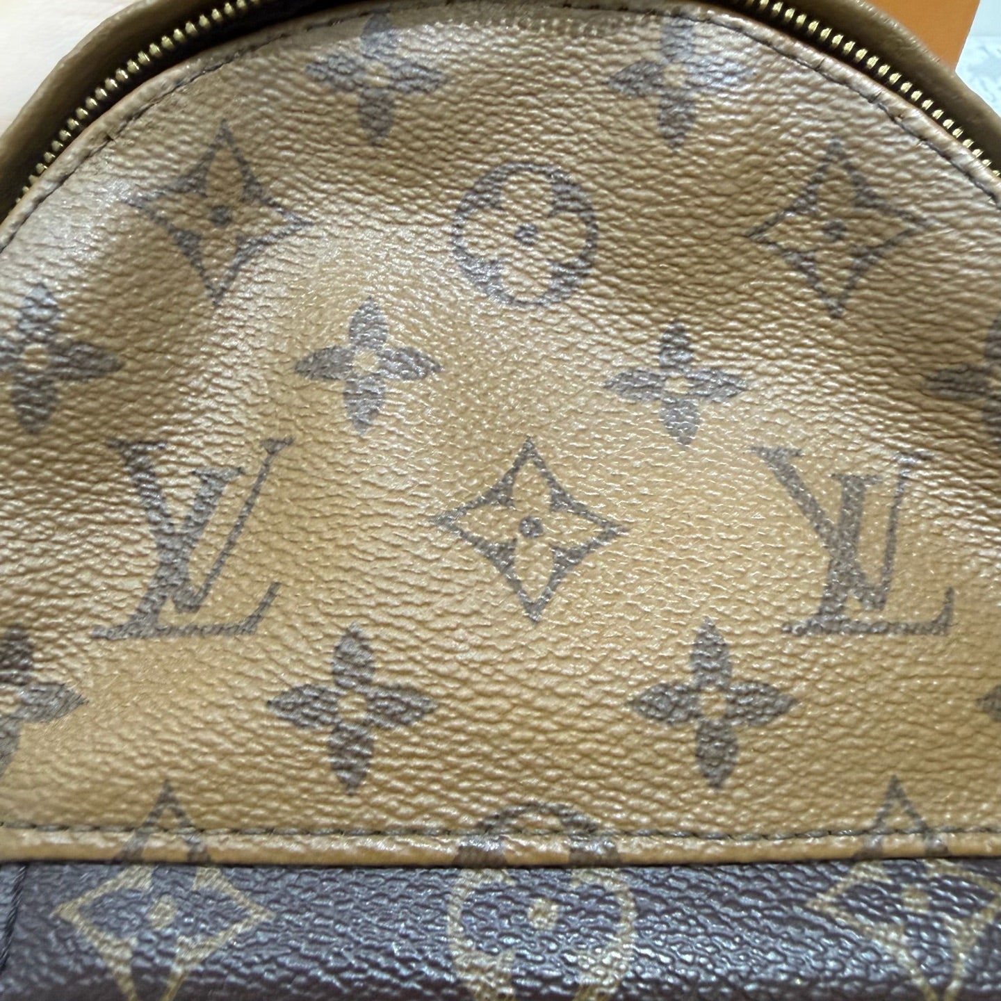 Louis Vuitton - Palm Springs Mini Backpack - Synthetic - Brown - (mini)