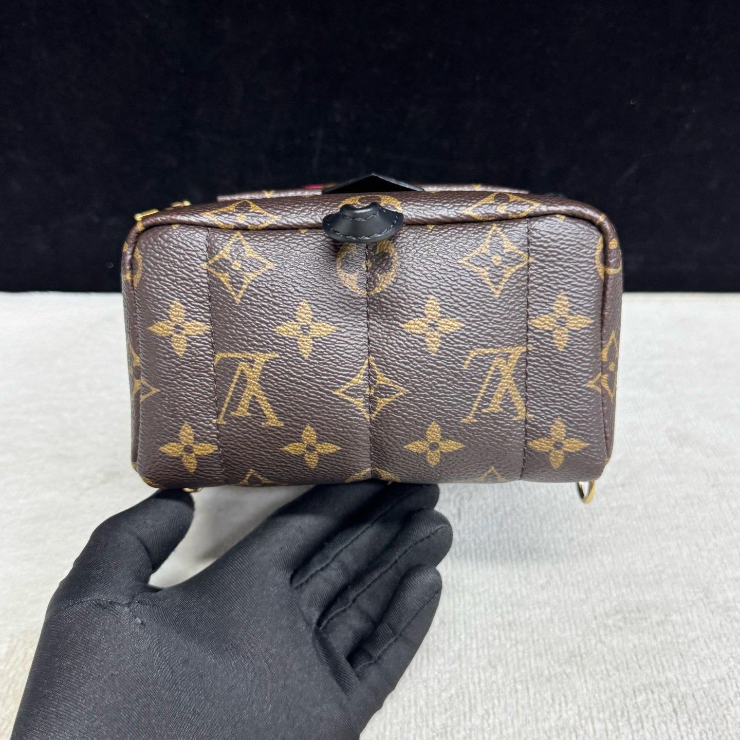Louis Vuitton - Palm Springs Mini Backpack - Synthetic - Brown - (mini)