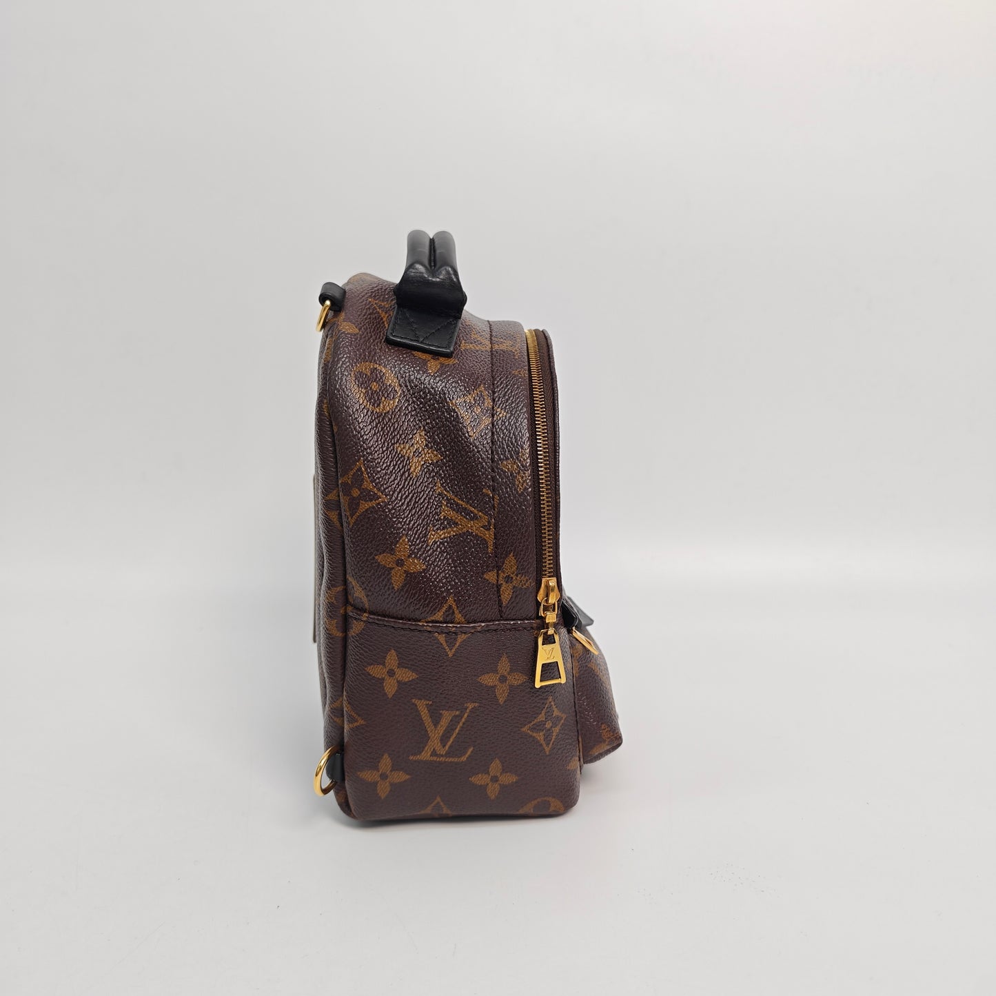 Louis Vuitton - Palm Springs Mini - Cloth - Brown - (mini)