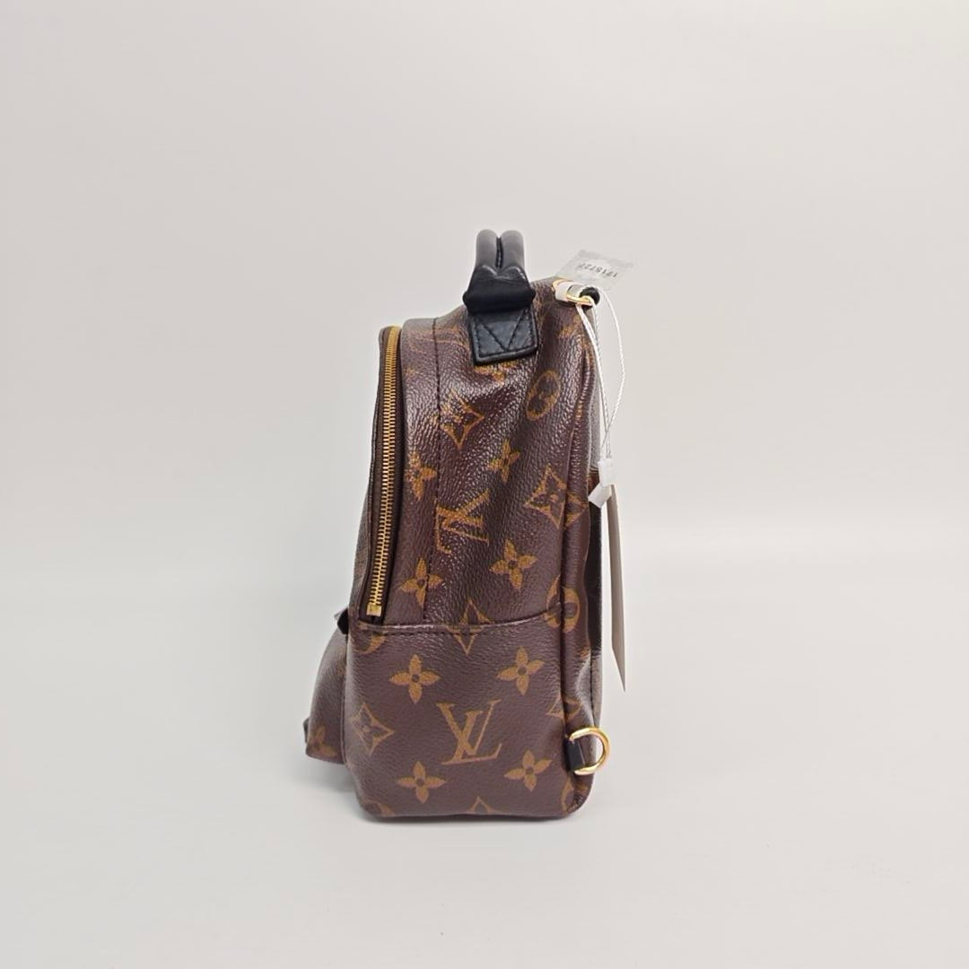 Louis Vuitton - Palm Springs Mini - Cloth - Brown - (mini)