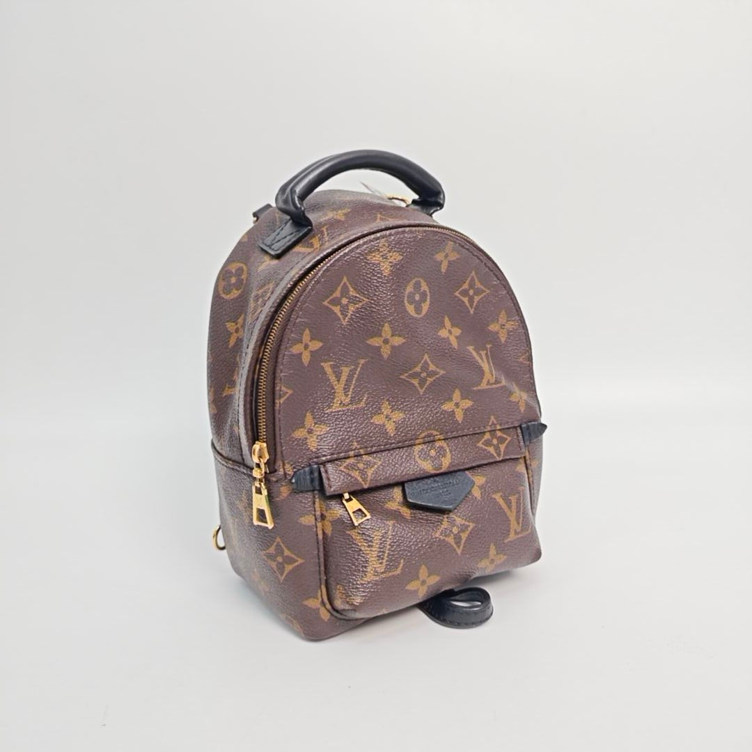 Louis Vuitton - Palm Springs Mini - Cloth - Brown - (mini)