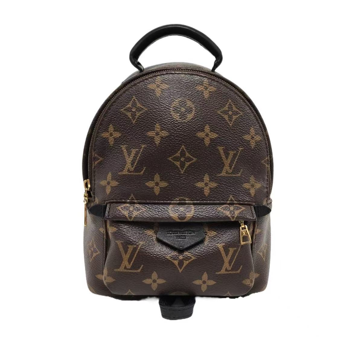 Louis Vuitton - Palm Springs Mini - Coated canvas - Brown with black trim - (mini)