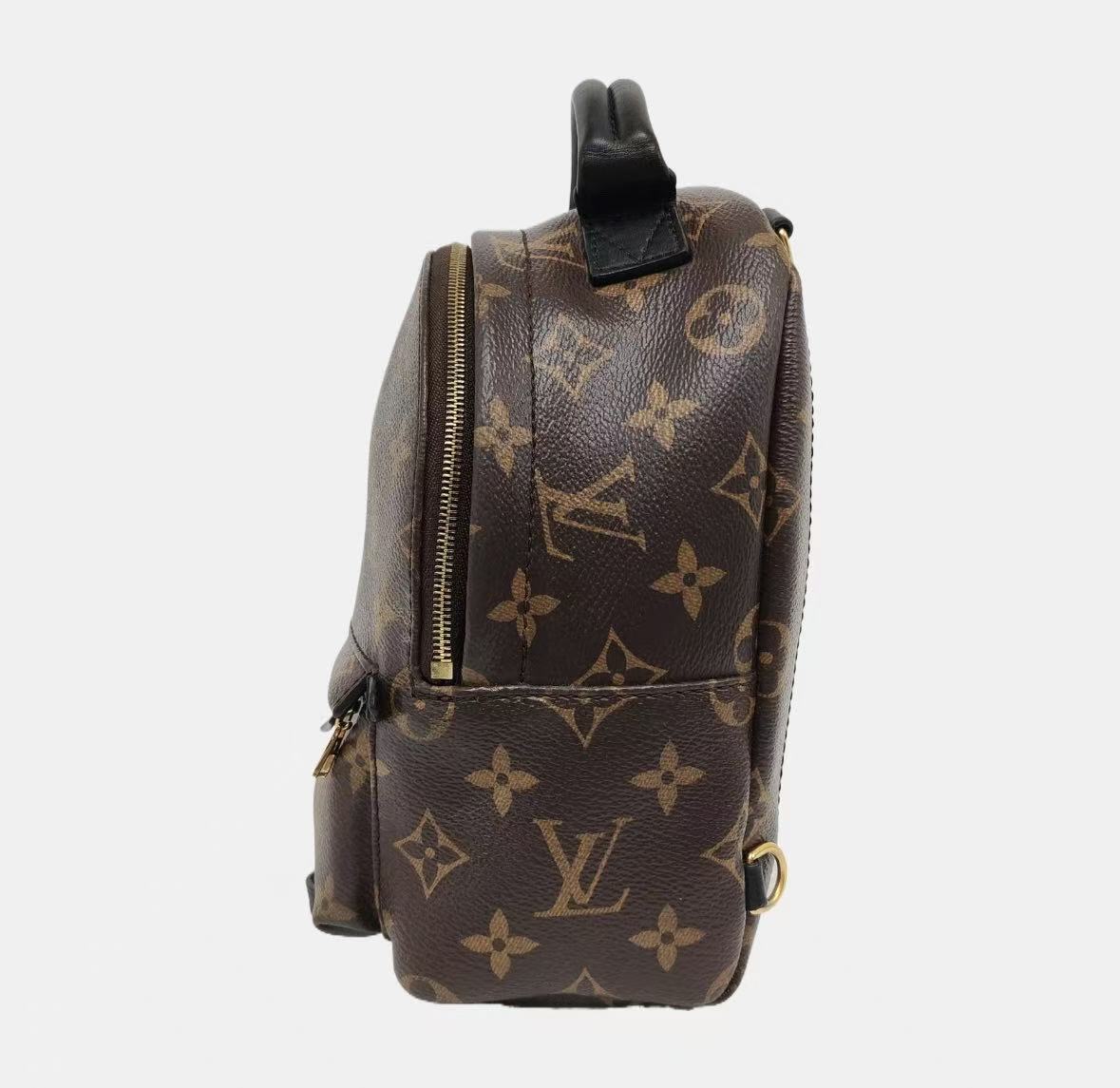 Louis Vuitton - Palm Springs Mini - Coated canvas - Brown with black trim - (mini)