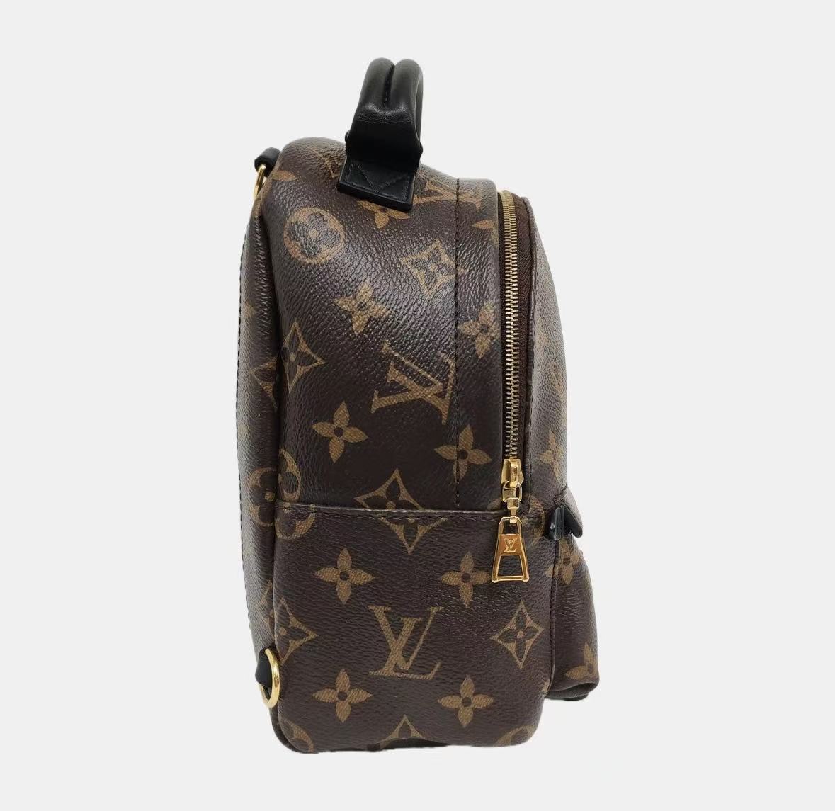Louis Vuitton - Palm Springs Mini - Coated canvas - Brown with black trim - (mini)