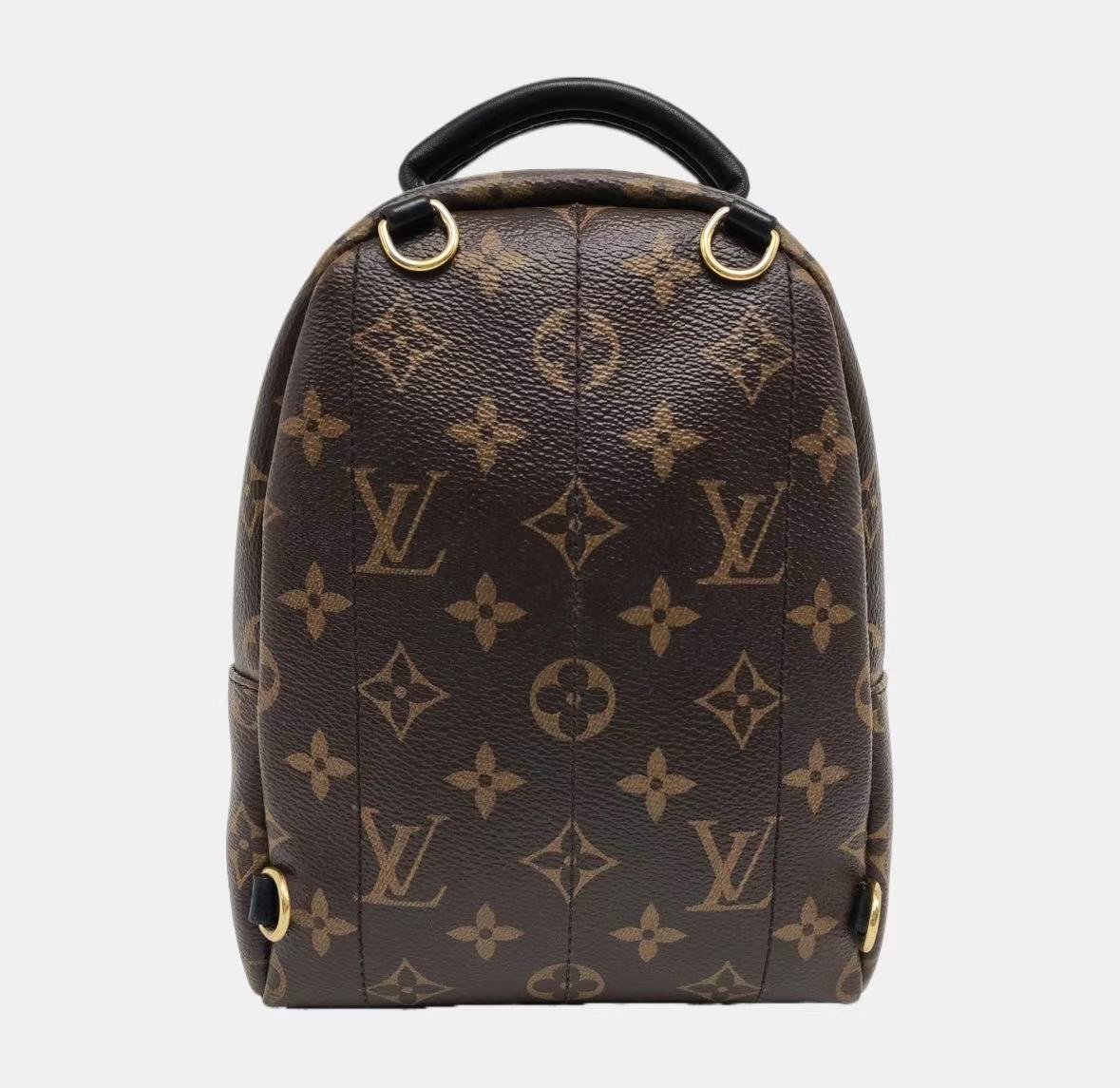 Louis Vuitton - Palm Springs Mini - Coated canvas - Brown with black trim - (mini)