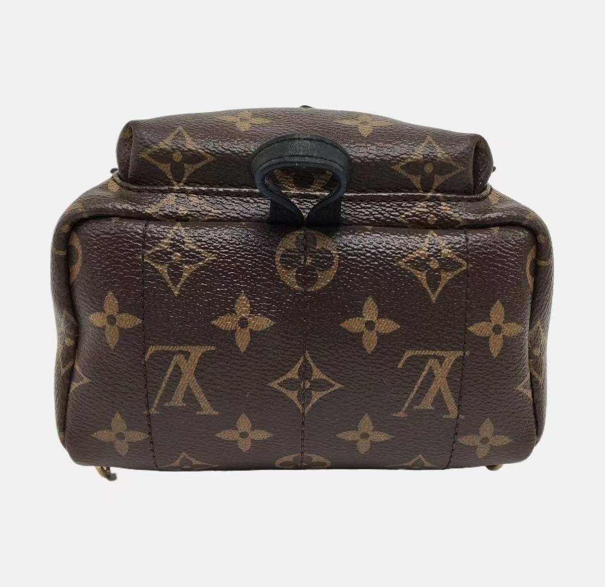 Louis Vuitton - Palm Springs Mini - Coated canvas - Brown with black trim - (mini)