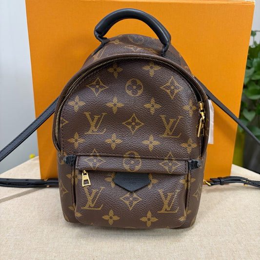 Louis Vuitton - Palm Springs Mini - Leather - Brown - (mini)