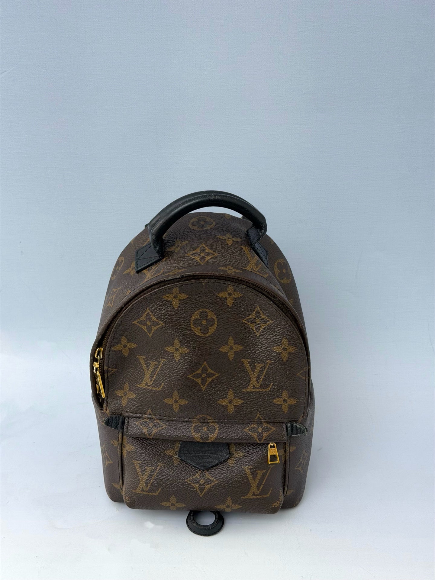 Louis Vuitton - Palm Springs Mini - Leather - Brown - (mini)