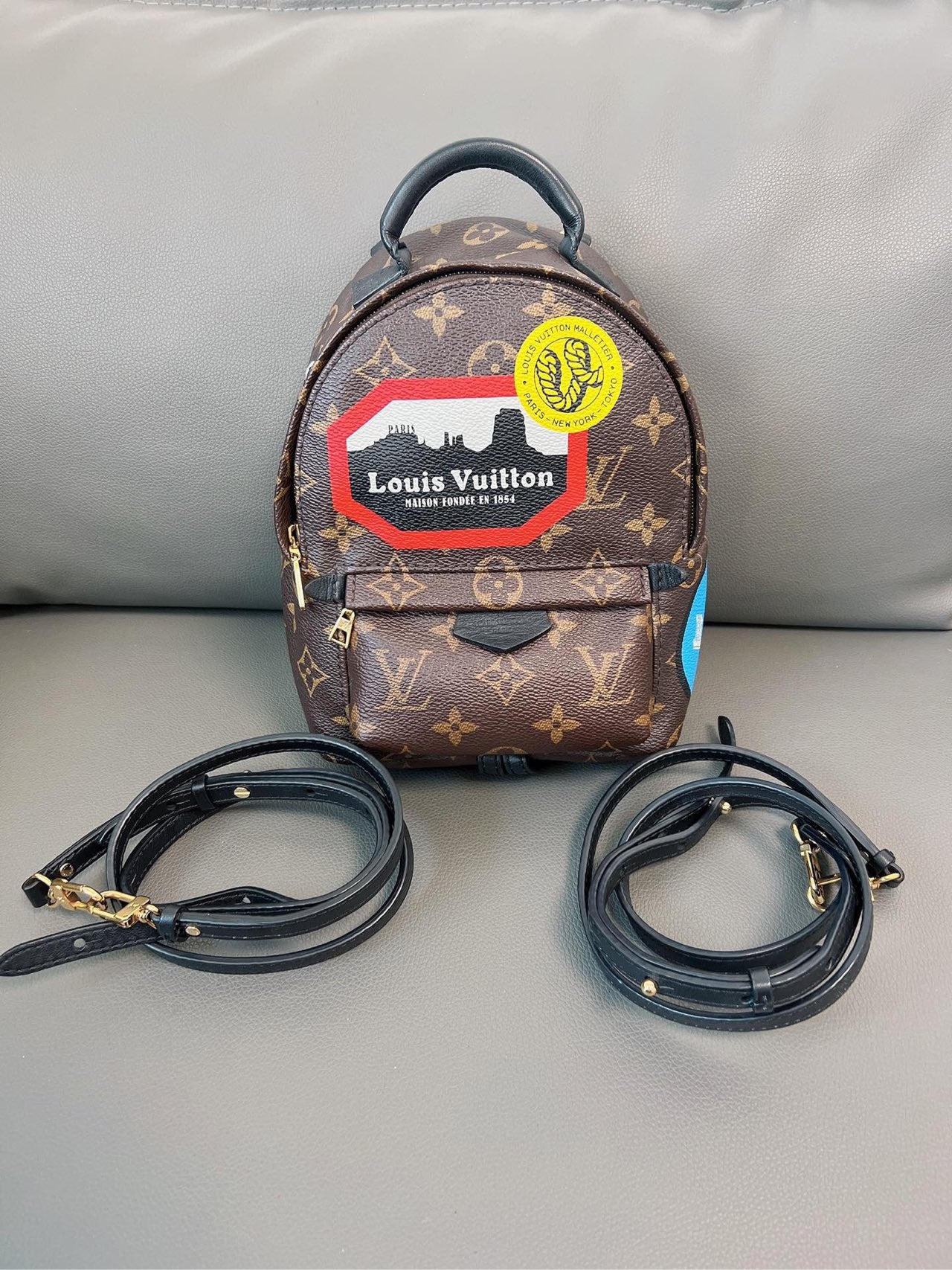 Louis Vuitton - Palm Springs Mini - Leather - Brown - (mini)