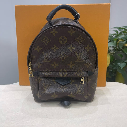 Louis Vuitton - Palm Springs Mini - Leather - Brown - (mini)