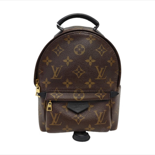 Louis Vuitton - Palm Springs Mini - Leather - Brown - (mini)