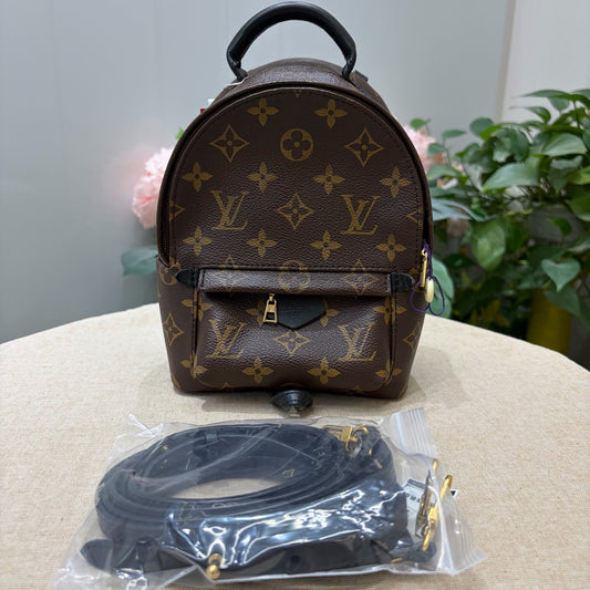 Louis Vuitton - Palm Springs Mini - Leather - Brown - (mini)