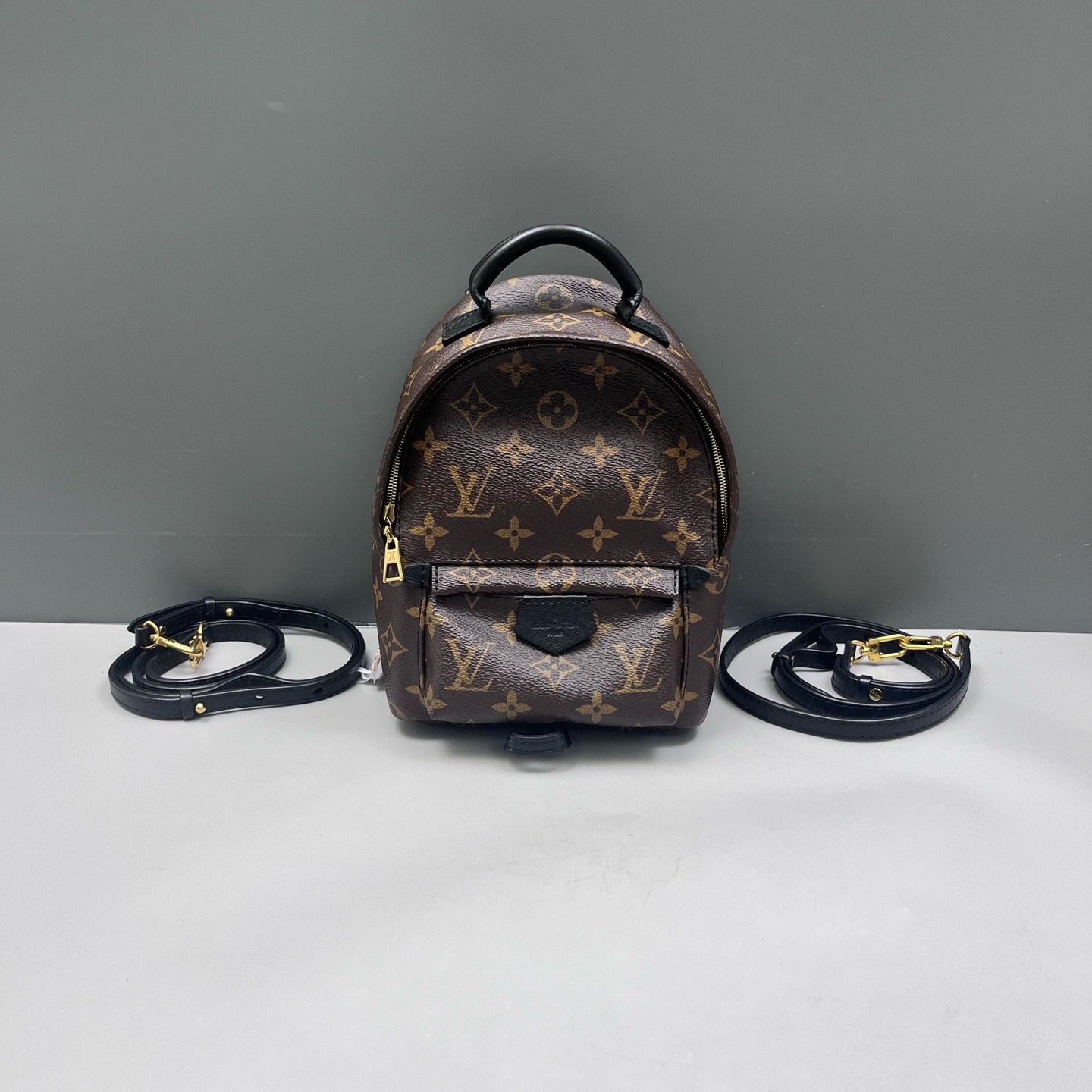 Louis Vuitton - Palm Springs Mini - Leather - Brown - (mini)