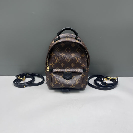 Louis Vuitton - Palm Springs Mini - Leather - Brown - (mini)