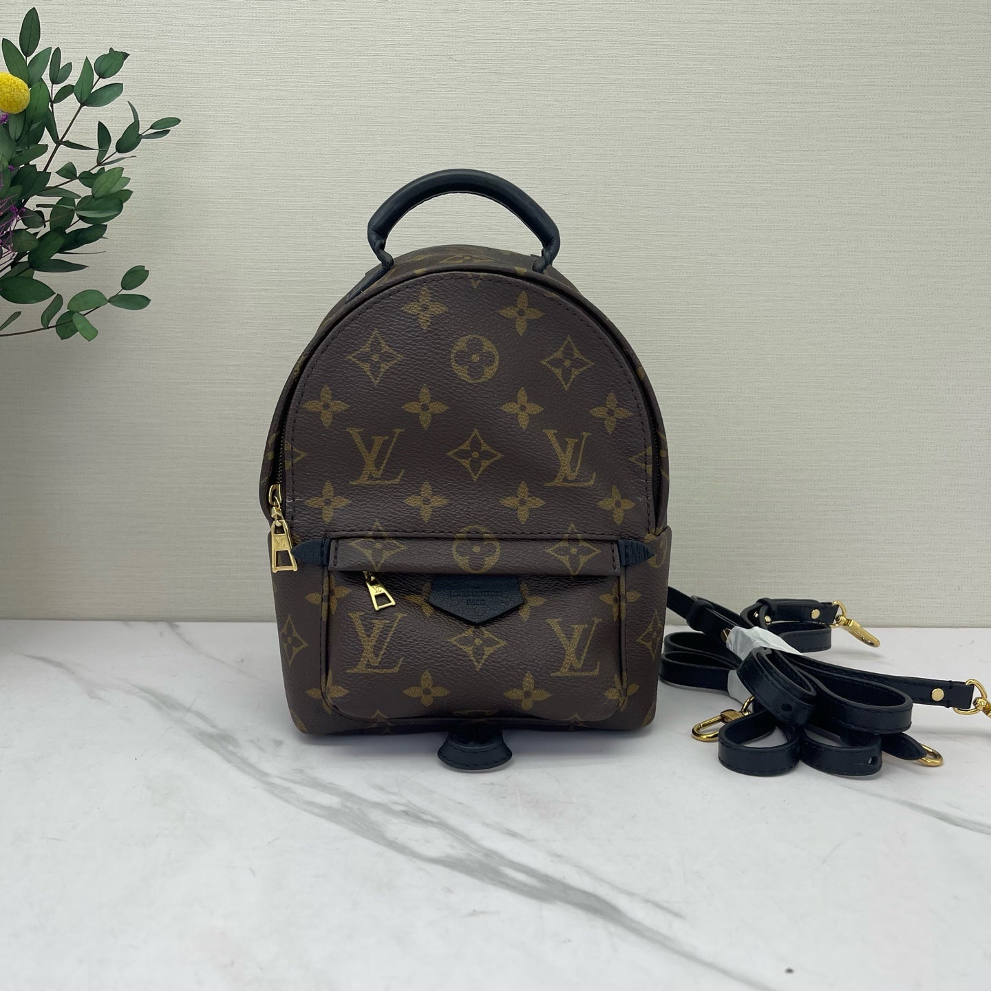 Louis Vuitton - Palm Springs Mini - Leather - Brown - (mini)