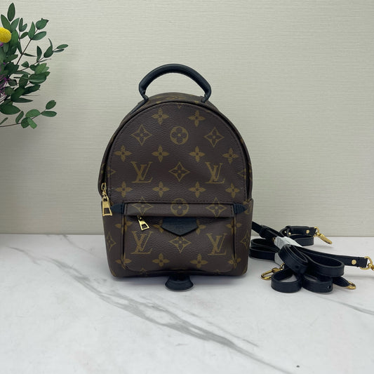Louis Vuitton - Palm Springs Mini - Leather - Brown - (mini)