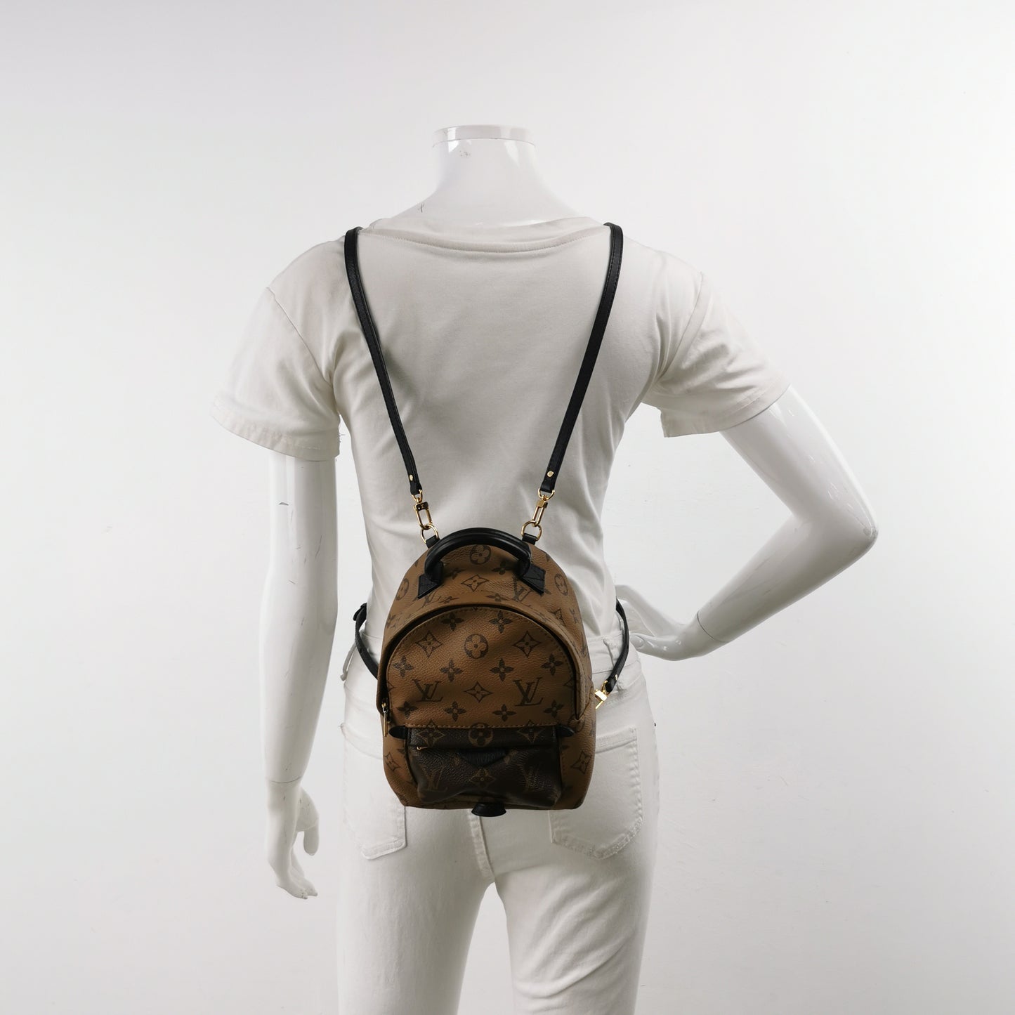 Louis Vuitton - Palm Springs Mini - Leather - Brown - (mini)