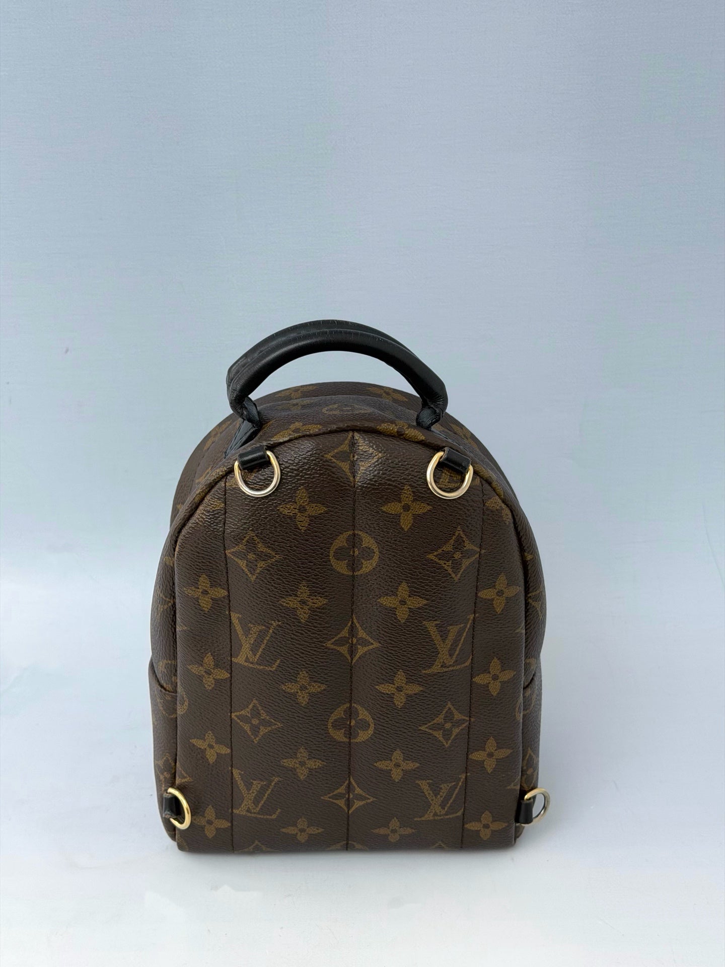 Louis Vuitton - Palm Springs Mini - Leather - Brown - (mini)
