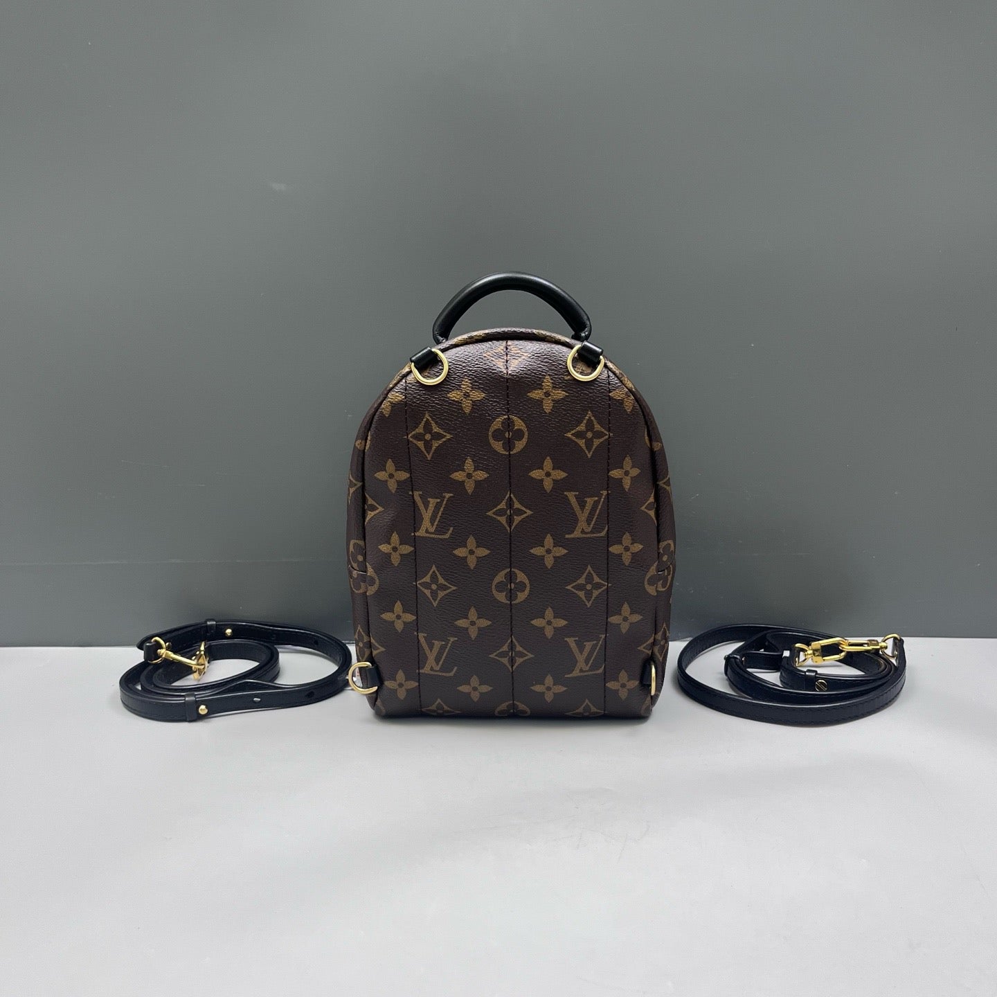 Louis Vuitton - Palm Springs Mini - Leather - Brown - (mini)