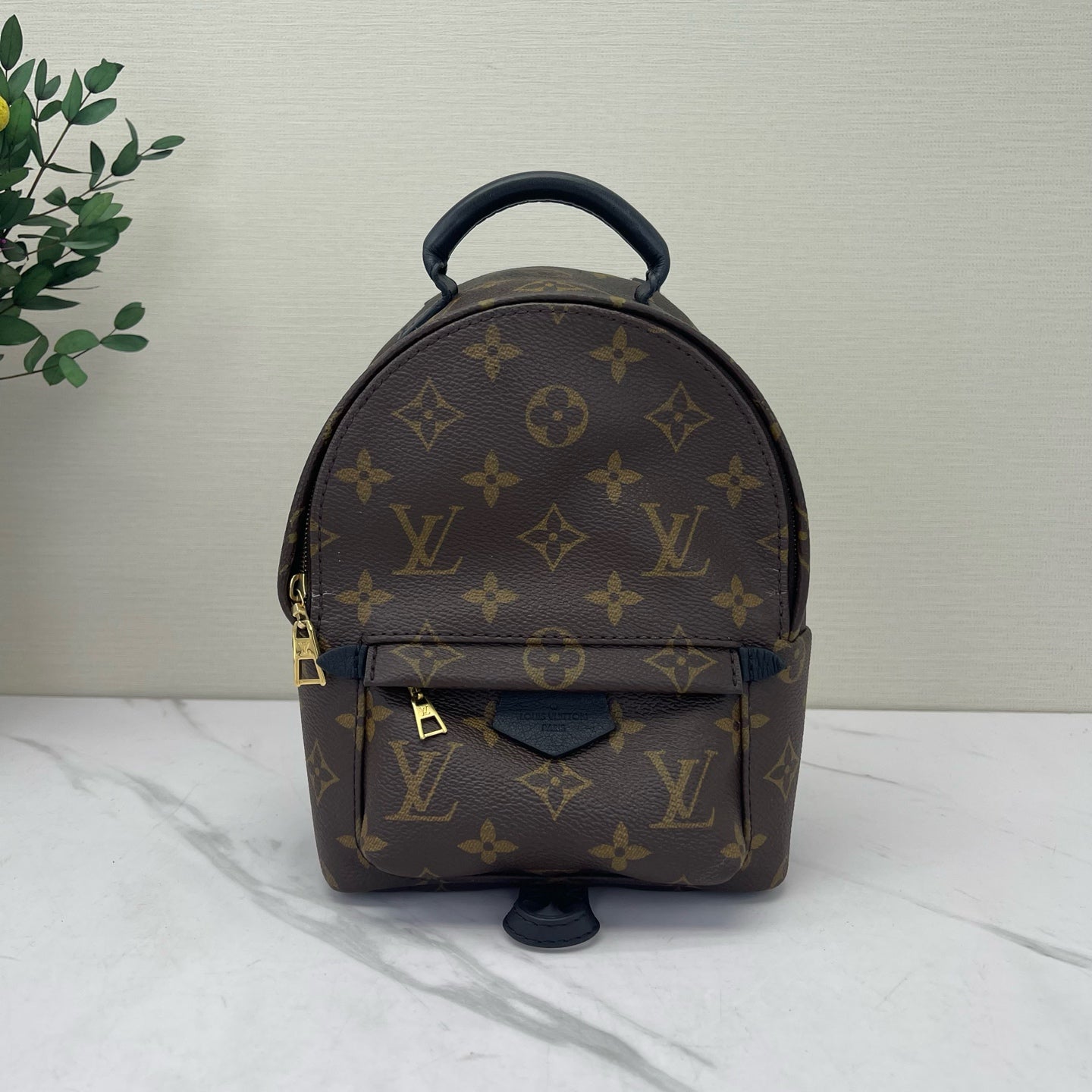 Louis Vuitton - Palm Springs Mini - Leather - Brown - (mini)