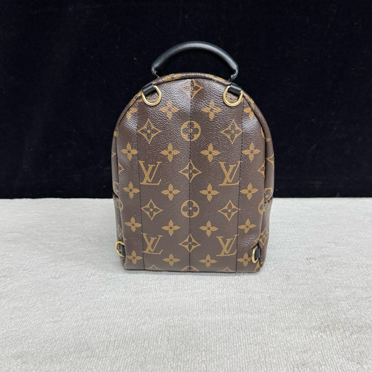 Louis Vuitton - Palm Springs Mini - Leather - Brown - (mini)