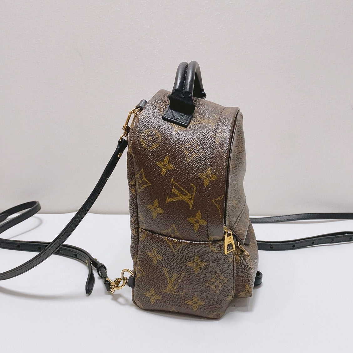 Louis Vuitton - Palm Springs Mini - Leather - Brown - (mini)