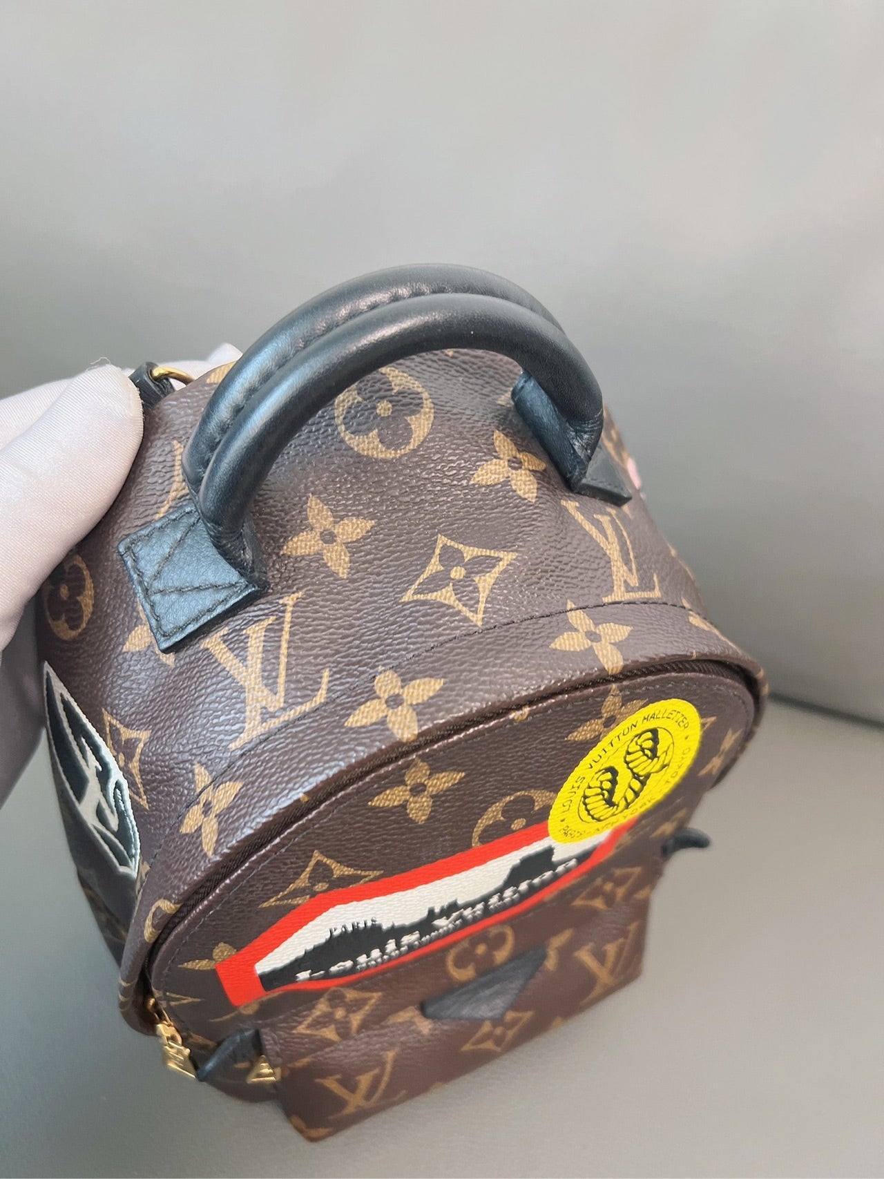 Louis Vuitton - Palm Springs Mini - Leather - Brown - (mini)