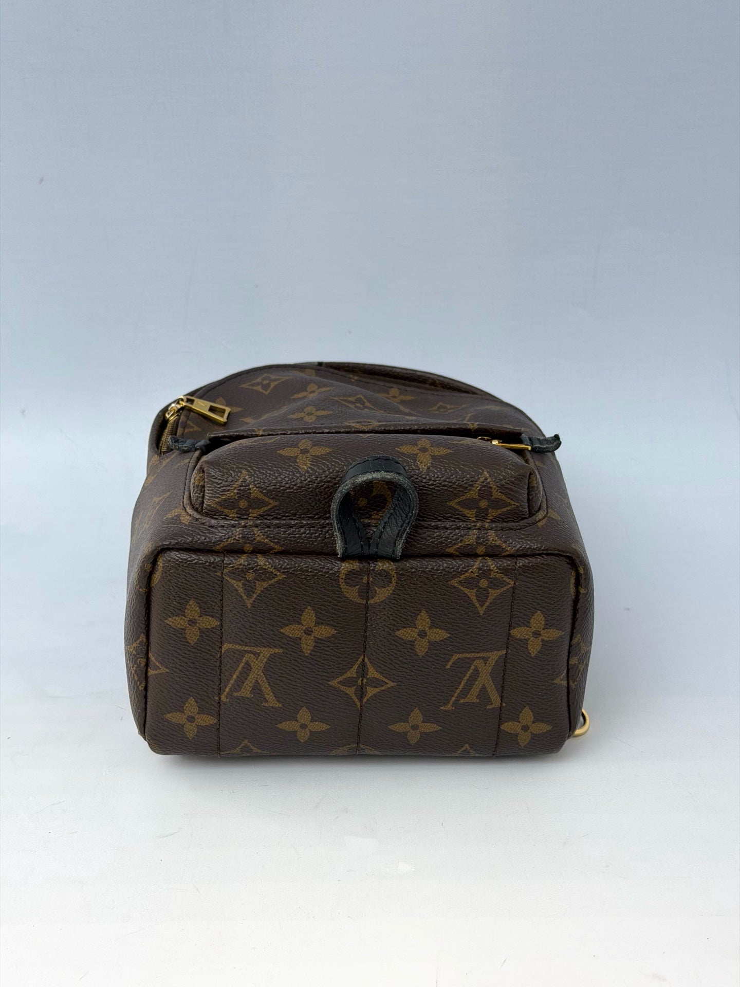 Louis Vuitton - Palm Springs Mini - Leather - Brown - (mini)