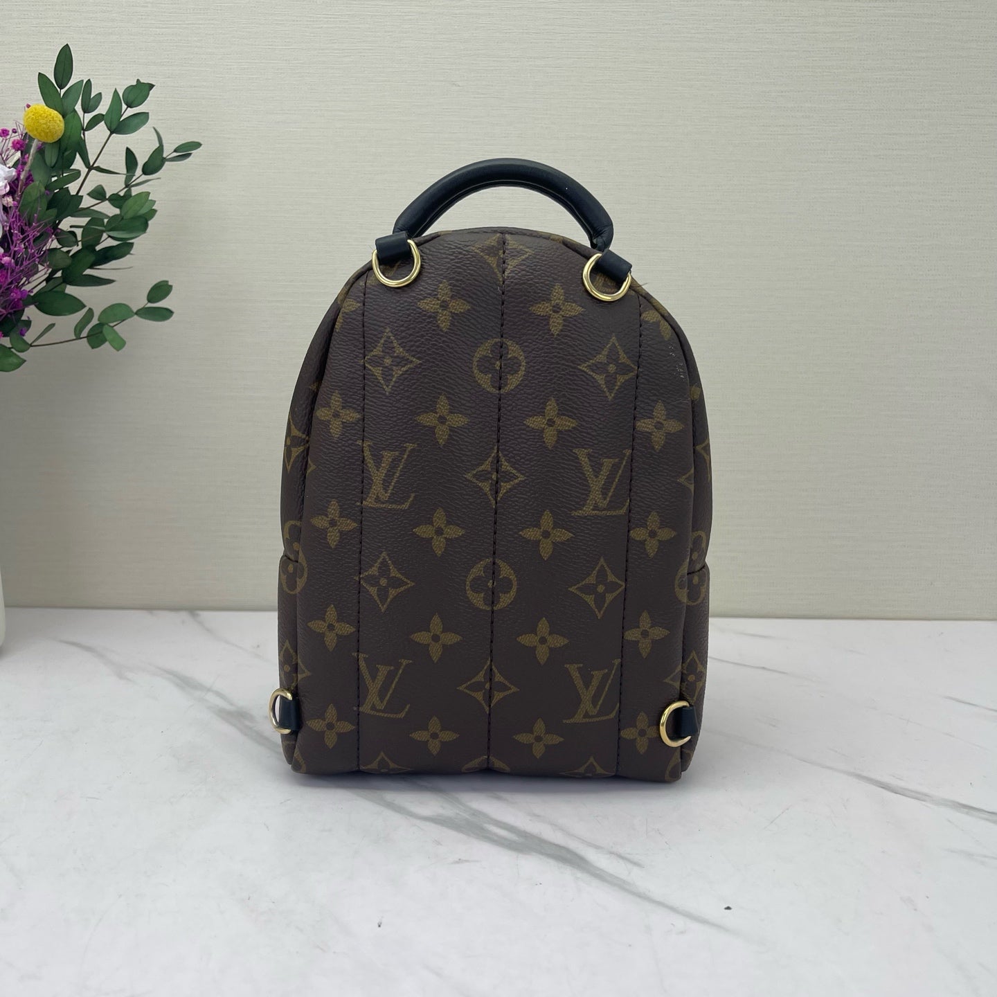 Louis Vuitton - Palm Springs Mini - Leather - Brown - (mini)