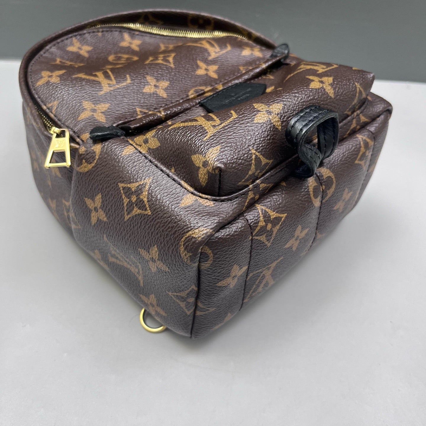 Louis Vuitton - Palm Springs Mini - Leather - Brown - (mini)