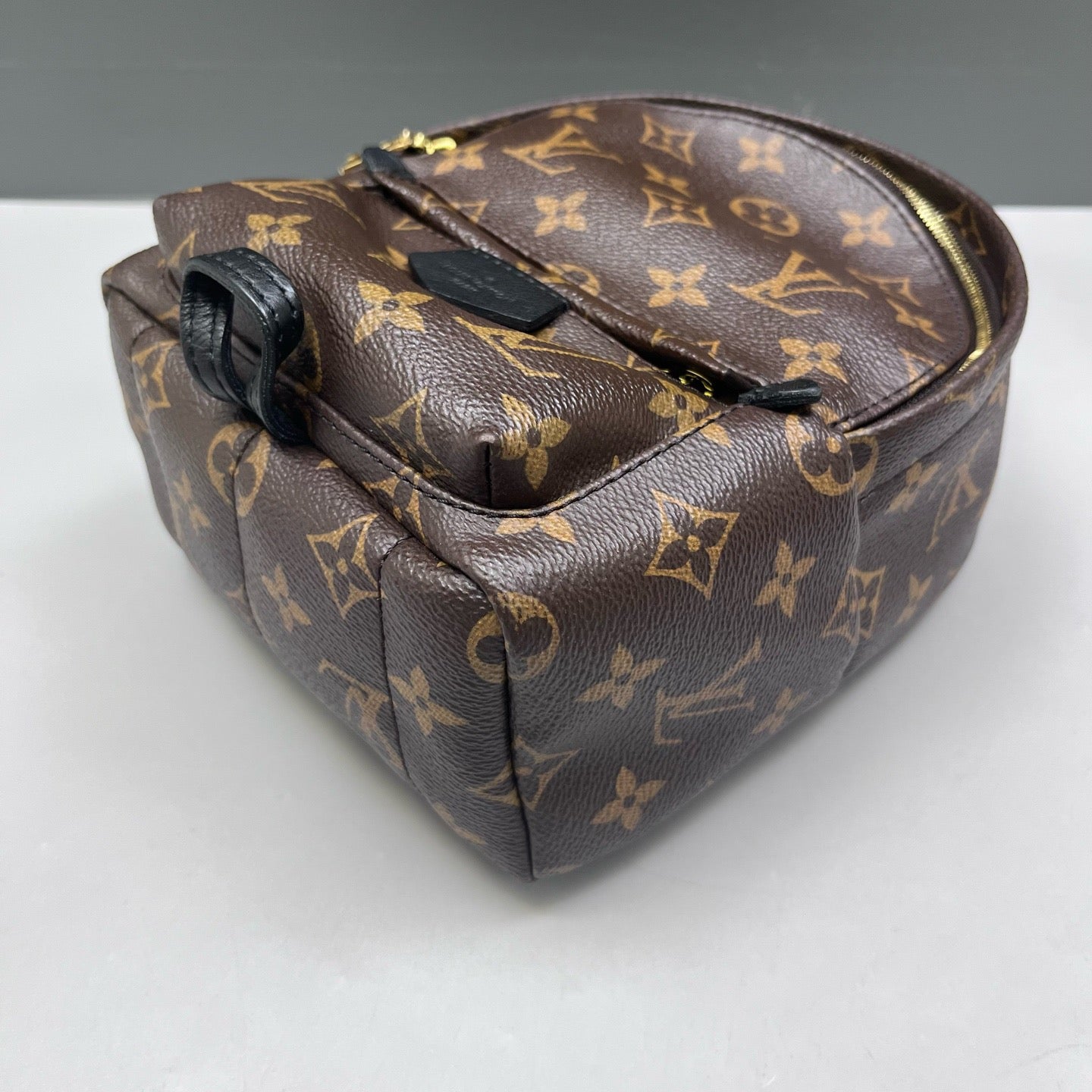 Louis Vuitton - Palm Springs Mini - Leather - Brown - (mini)