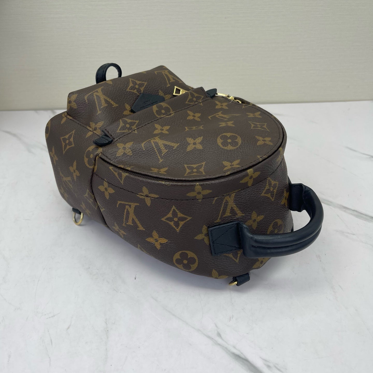 Louis Vuitton - Palm Springs Mini - Leather - Brown - (mini)