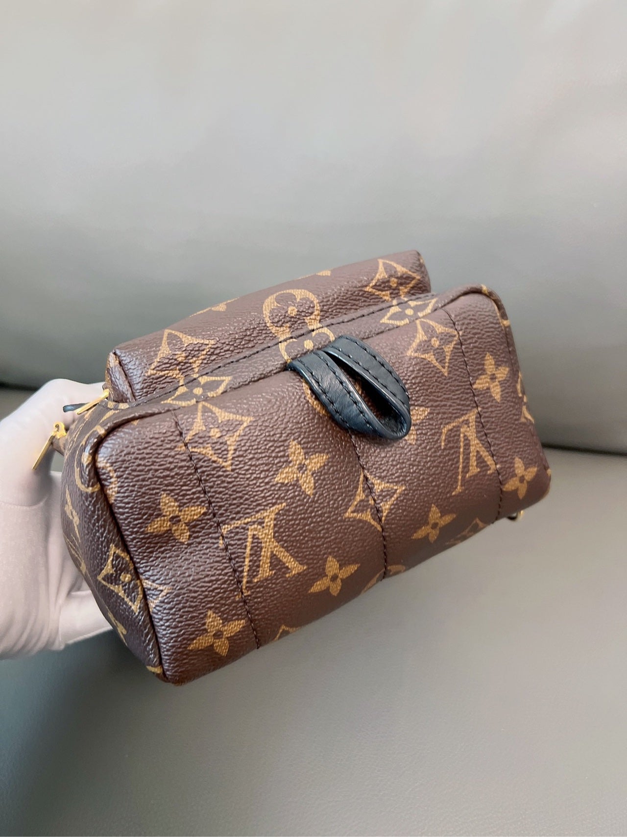 Louis Vuitton - Palm Springs Mini - Leather - Brown - (mini)