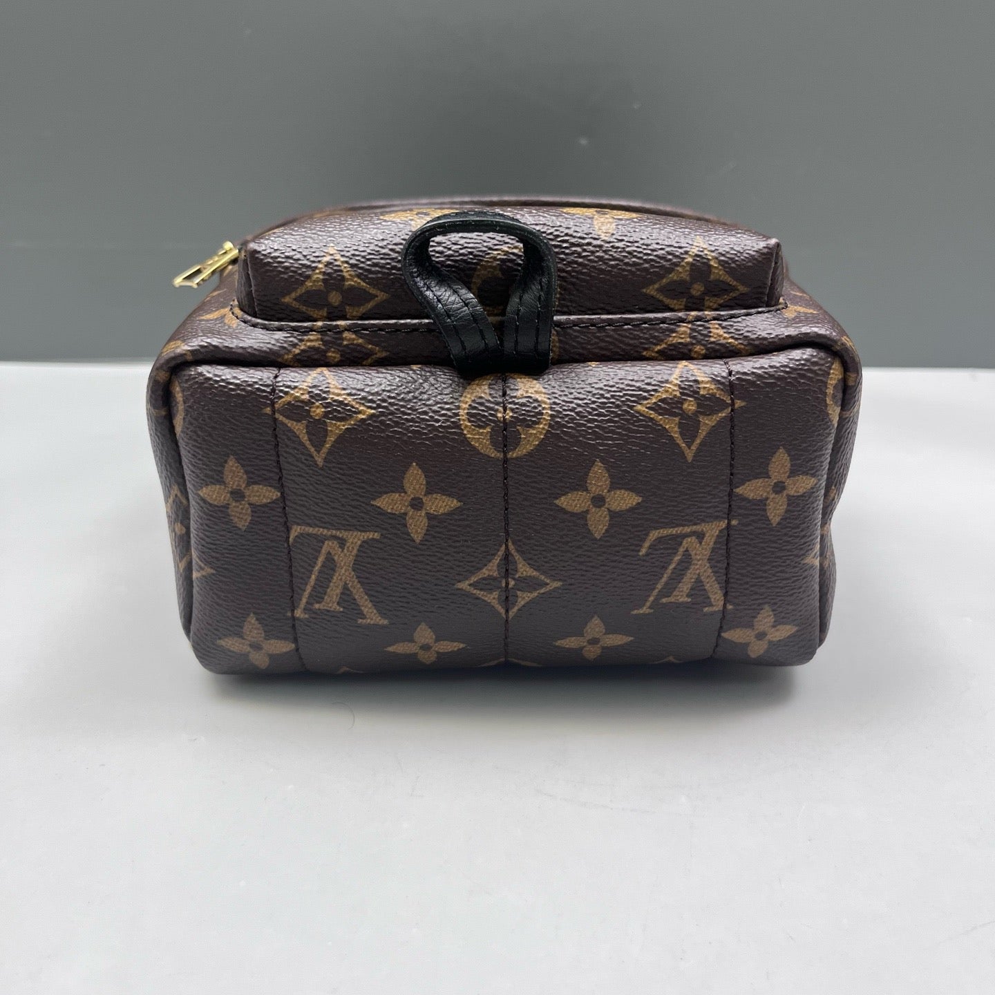 Louis Vuitton - Palm Springs Mini - Leather - Brown - (mini)