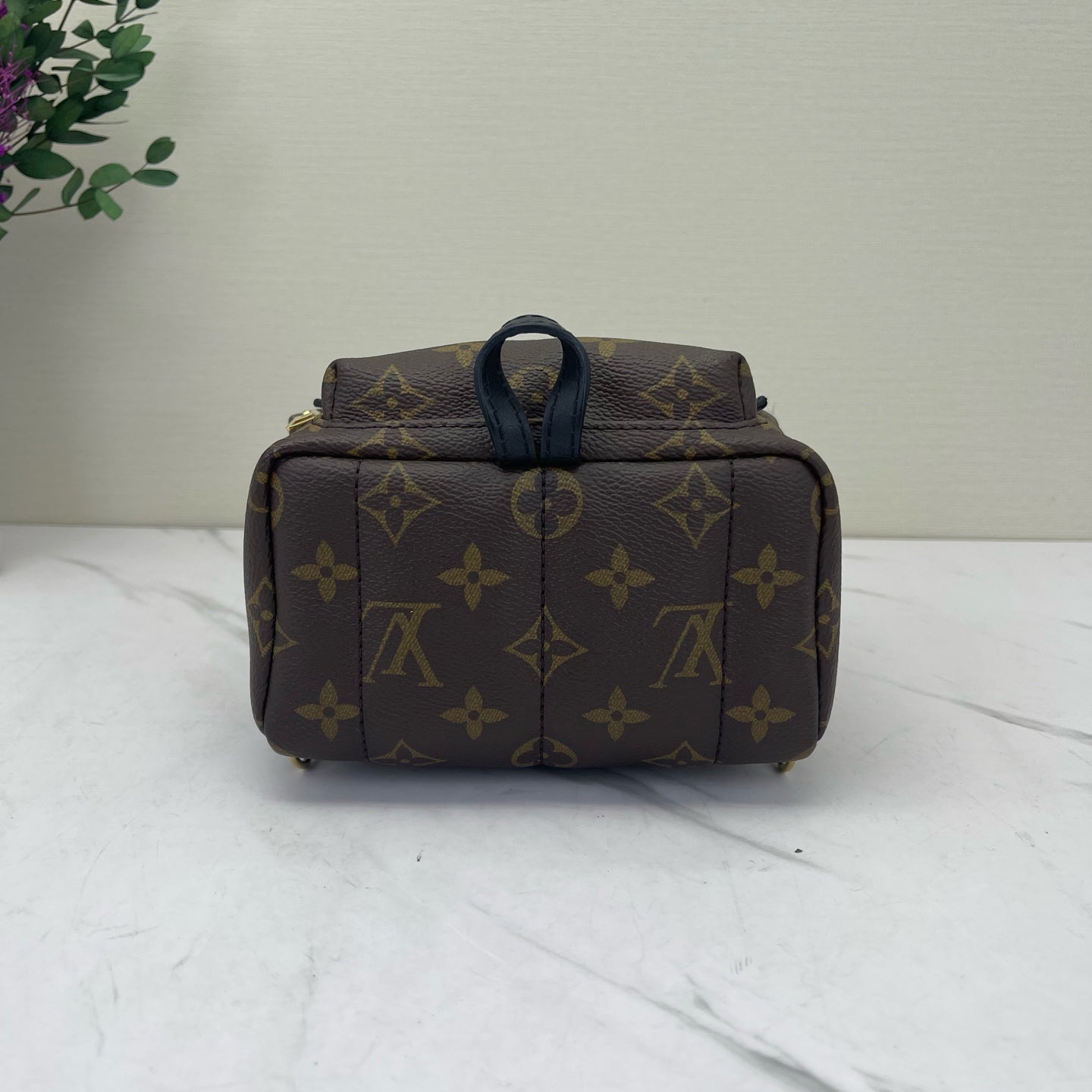 Louis Vuitton - Palm Springs Mini - Leather - Brown - (mini)