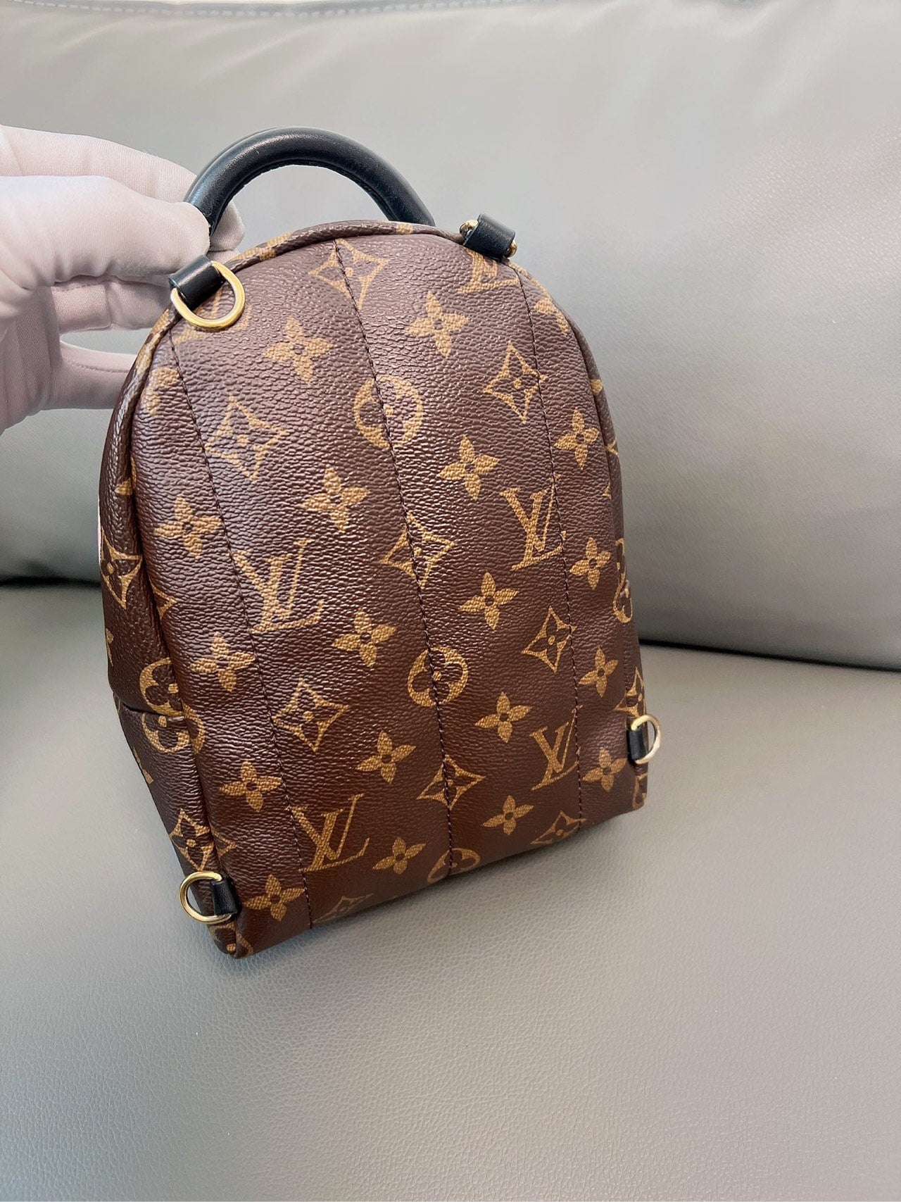 Louis Vuitton - Palm Springs Mini - Leather - Brown - (mini)
