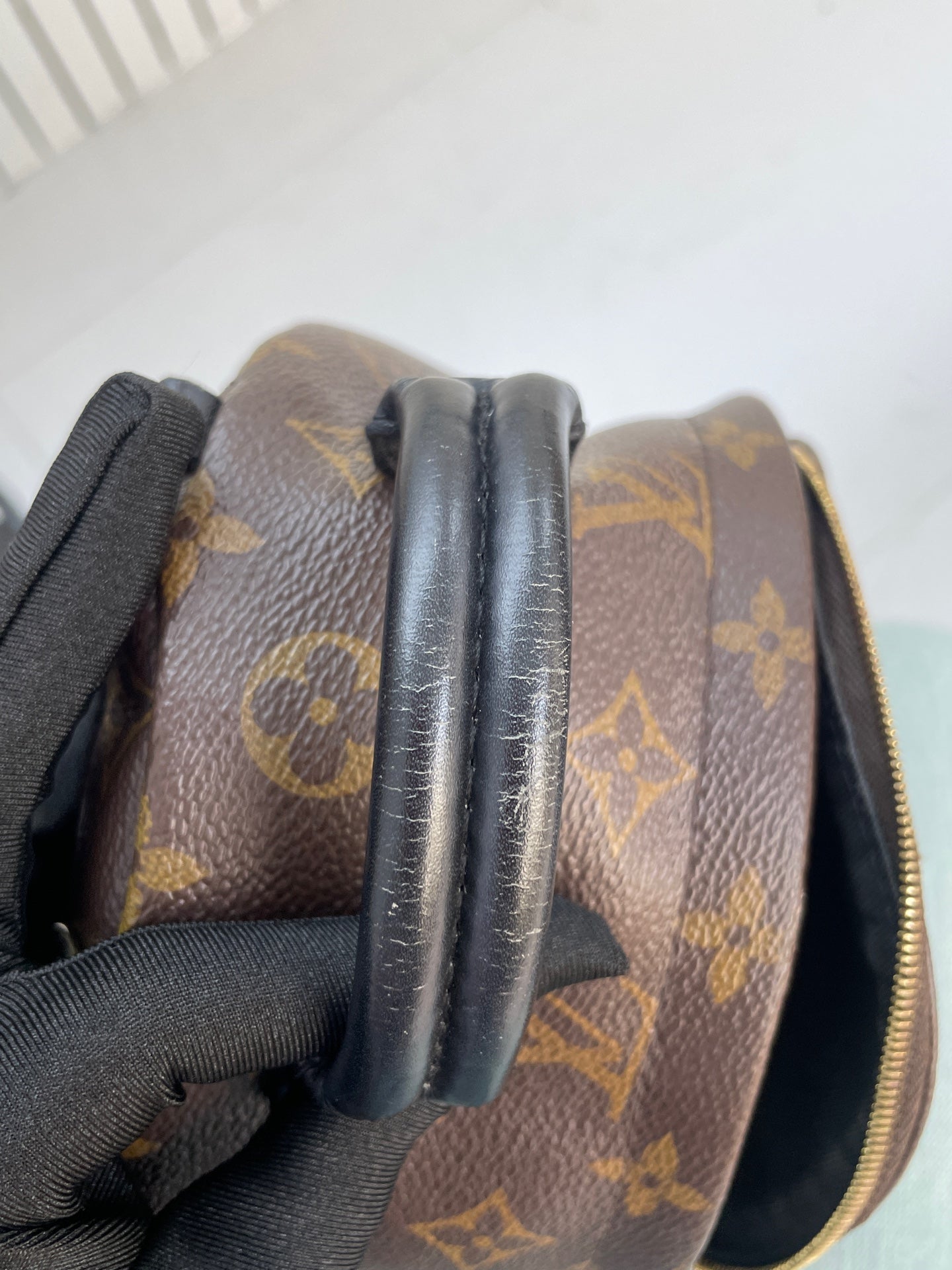 Louis Vuitton - Palm Springs Mini - Leather - Brown - (mini)