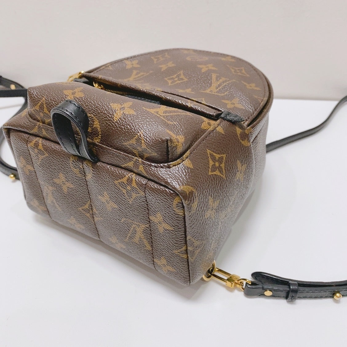Louis Vuitton - Palm Springs Mini - Leather - Brown - (mini)