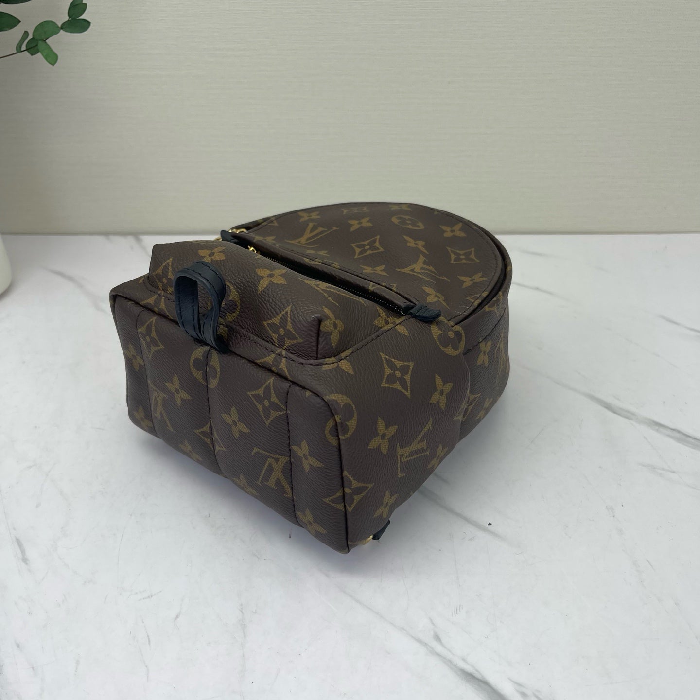 Louis Vuitton - Palm Springs Mini - Leather - Brown - (mini)